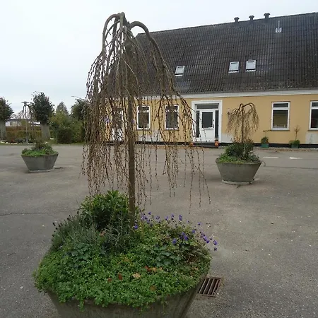 Danhostel * キューゲ